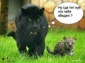 Іван Королюк фотография #10 (источник - https://vk.com/id14271613)