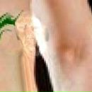 Даша Щербініна фотография #37 (источник - https://vk.com/id140772324)