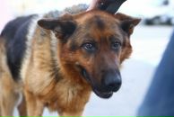 Фотография Нестеровой Лилианы