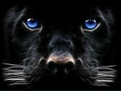 Віктор Івахів фотография #50 (источник - https://vk.com/id10457633)