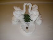 Фотография Шевцовой Натальи