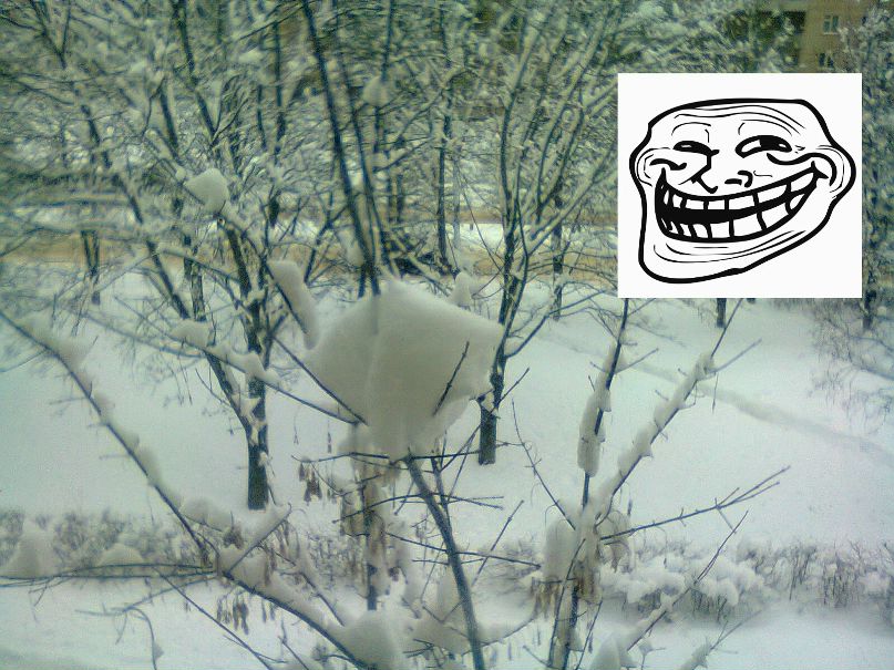 Алёша Коченов фотография #1