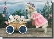 Фотография Скарзовой Елены