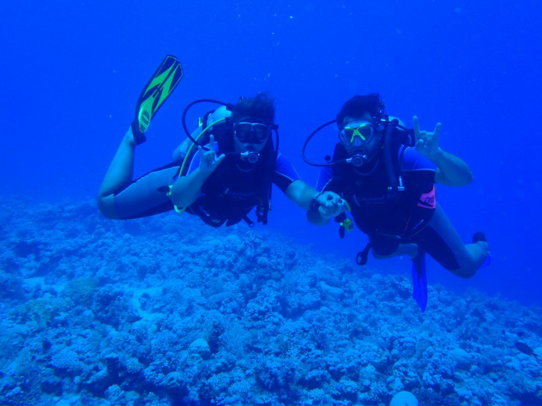 Vit Mi фотография #42