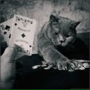 Олександр Бедзір фотография #4 (источник - https://vk.com/id16203303)