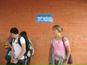 Фотография Чайки Виктории