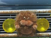 Фотография Слатовой Людмилы