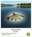 Петя Шютів фотография #4 (источник - https://vk.com/id155564623)