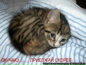 Юлія Кошкіна фотография #33 (источник - https://vk.com/id6791872)