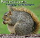 Юлясік Ярмолюк фотография #46 (источник - https://vk.com/id153793532)