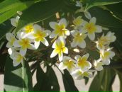 Наташа Родіонова фотография #25 (источник - https://vk.com/id13590232)