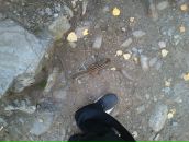 Дмитрий Неруш фотография #22 (источник - https://vk.com/id1175015)