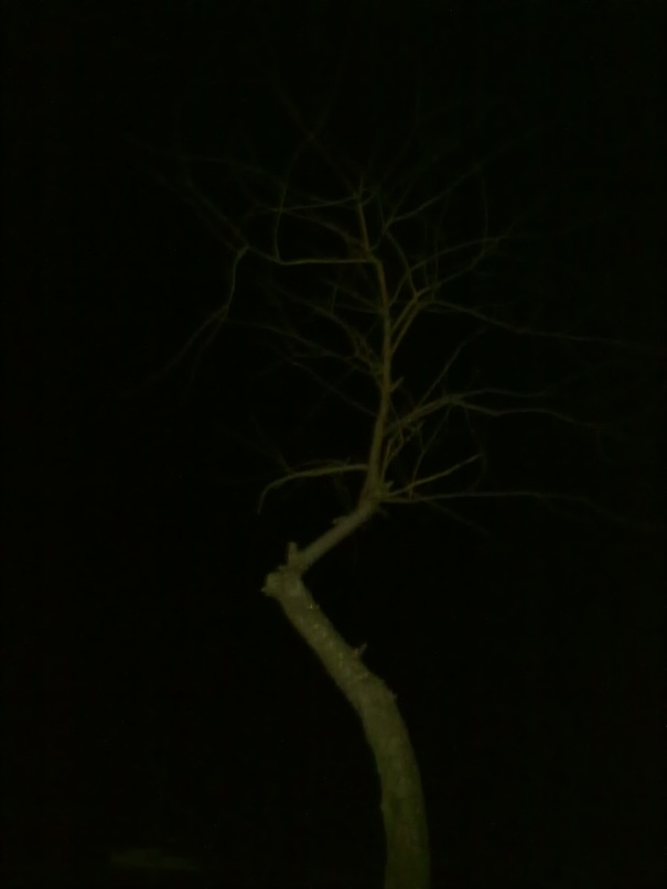 Данил Ушаков фотография #16