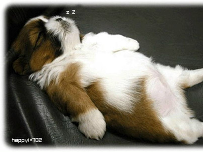 Соня Тарасенко фотография #20