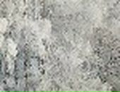 Міша Приймич фотография #26 (источник - https://vk.com/id53631175)