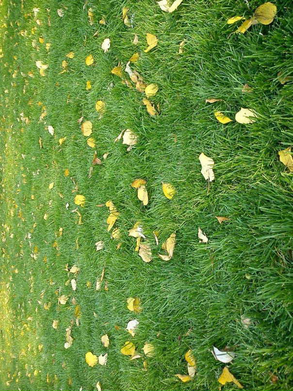 Ольга Боева фотография #30