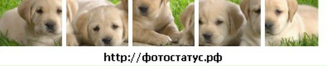 Зінуля Давидюк фотография #20 (источник - https://vk.com/id80303511)