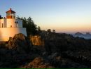Фотография Света Кривошейн