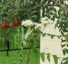 Фотография Богачевой Любови