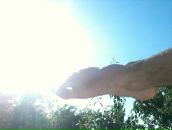 Ігор Бойда фотография #28 (источник - https://vk.com/id5847011)