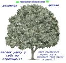 Фотография Шикуриной Анны
