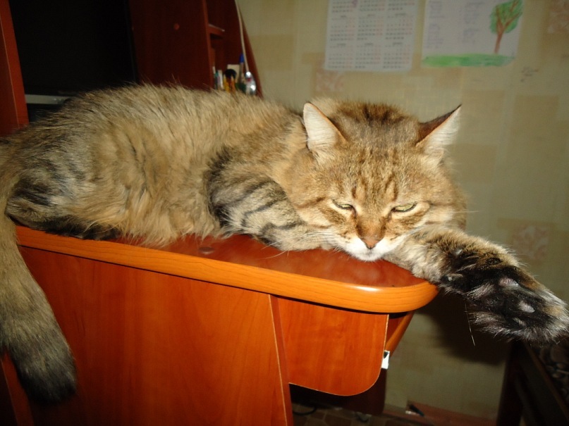 Сергей Щербаков фотография #48