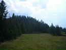 Віра Савчин фотография #28 (источник - https://vk.com/id124964868)