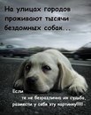 Софія Вахнюк фотография #13 (источник - https://vk.com/id132714648)