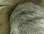 Іванка Золота фотография #19 (источник - https://vk.com/id139708248)