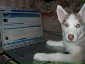 Фотография Балюкина Михаила