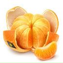 Фотография Филиной Ксении