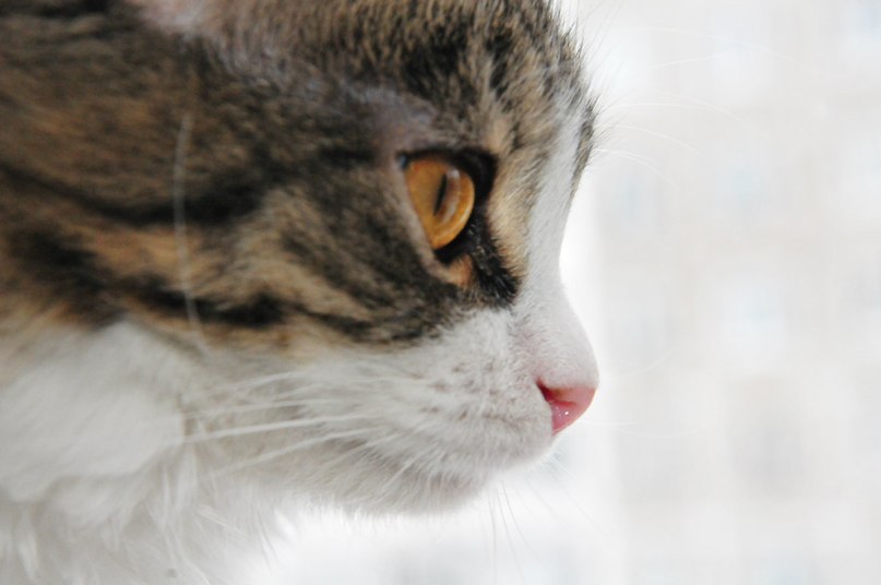 Антон Салянский фотография #43