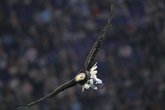 Максим Черней фотография #14