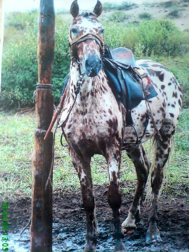 Адыгжы Иргит фотография #15