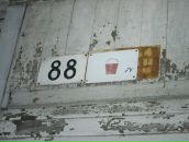 Фотография Курмаевой Дарьи