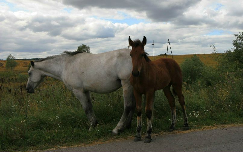 Дмитрий Бондаренко фотография #35