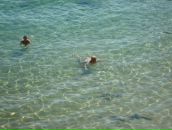 Фотография Антиповой Юлии