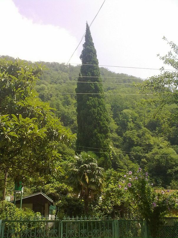 Igor Igor фотография #46