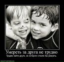 Вася Білоус фотография #29 (источник - https://vk.com/id67008547)