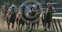 Drosselmeyer Favorite фотография #3 (источник - https://vk.com/id86315511)