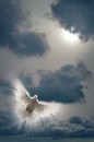 Марія Красновська фотография #25 (источник - https://vk.com/id265889005)