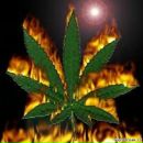 Дэн Брачо фотография #3 (источник - https://vk.com/id4555790)