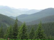 Александр Поліщук фотография #12 (источник - https://vk.com/id9517536)