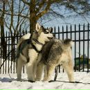 Фотография Брагина Дмитрия