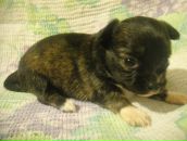 Фотография Полянской Ирины