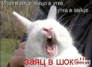 Фотография Заяца Виктора