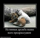 Фотография Волобоевой Лидии