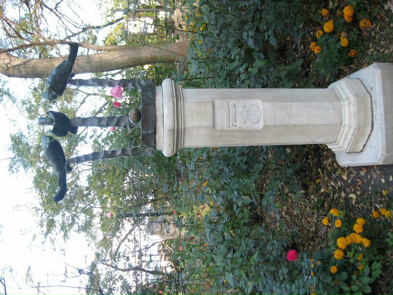 Денис Гранкин фотография #38