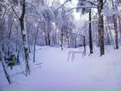 Фотография  