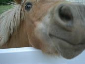 Фотография Обуховой Екатерины